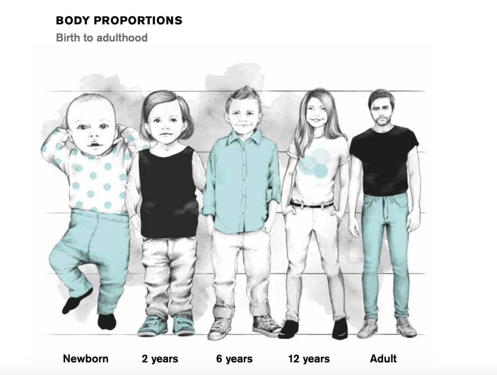 Image to show body proportions and why rear-facing car seats are safer for babies